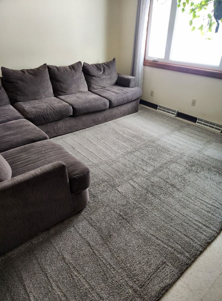 carpet 1