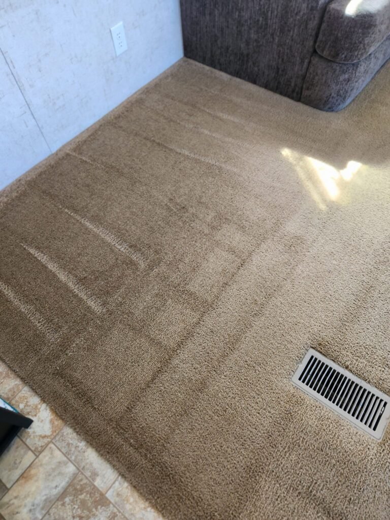 carpet 3