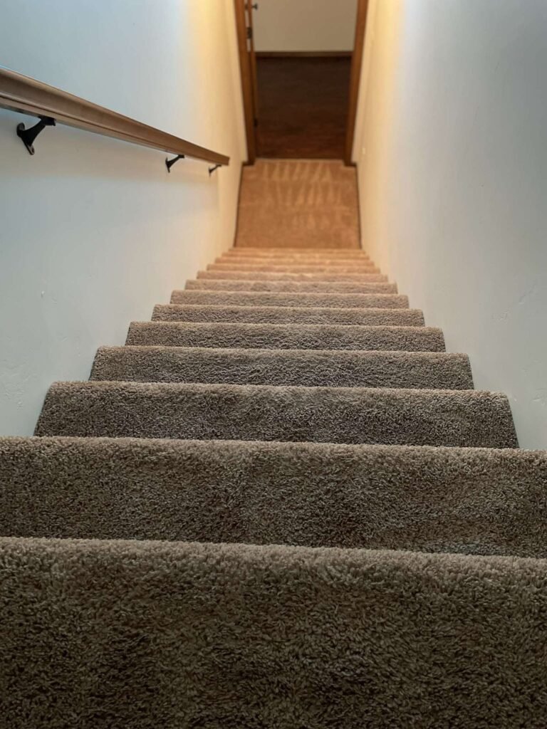 carpet 6